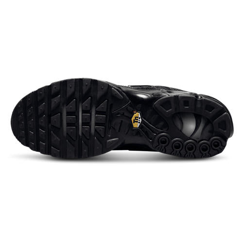 Nike Air Max Plus
