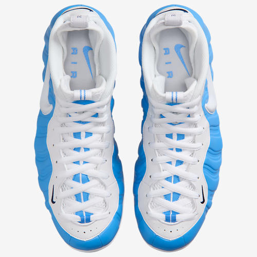 Nike Air Foamposite Pro