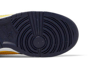 Nike Dunk Low Disrupt 2 'Michigan'