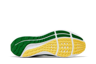 Nike Air Zoom Pegasus 39 'Oregon'