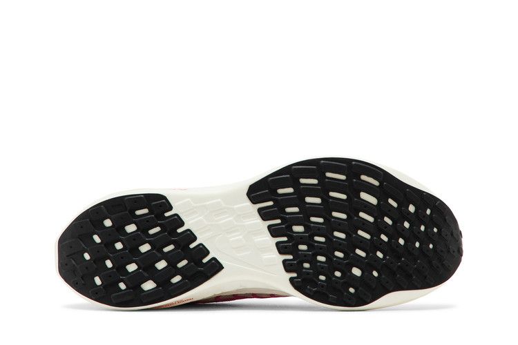 Nike Pegasus Turbo Next Nature 'Together'