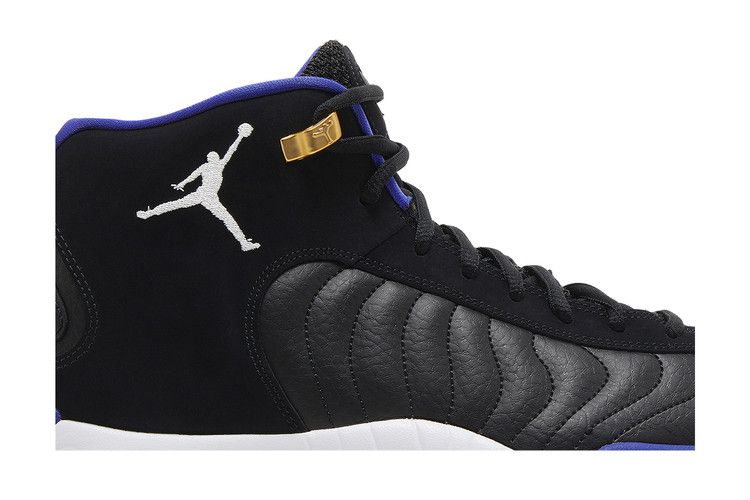 Air Jordan Jumpman Pro 'Black Concord'