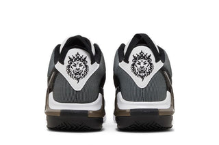 Nike LeBron Witness 7 'White Black'