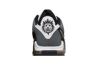 Nike LeBron Witness 7 'White Black'