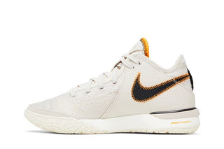 Nike Zoom LeBron NXXT Gen EP 'Da Vinci'