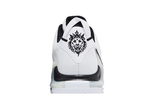 Nike LeBron Witness 7 TB 'White Black'
