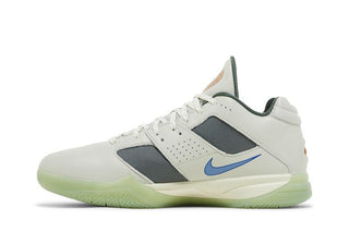 Nike Zoom KD 3 'Easy Money'