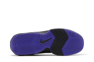 Nike LeBron Witness 8 'Lakers'
