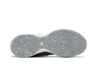 Nike Zoom LeBron NXXT Gen 'Wolf Grey'