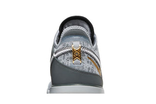 Nike Zoom LeBron NXXT Gen 'Wolf Grey'