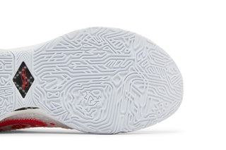 Mimi Plange x Nike LeBron 20 Premium 'Ceremony'