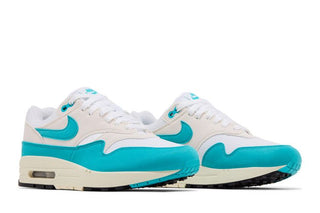 Nike Air Max 1 'Dusty Cactus'