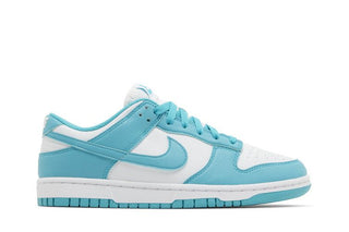 Nike Dunk Low Next Nature 'Dusty Cactus'
