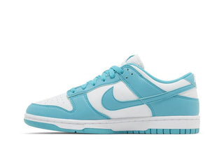 Nike Dunk Low Next Nature 'Dusty Cactus'