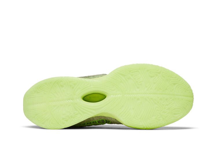Nike LeBron 21 'Algae'
