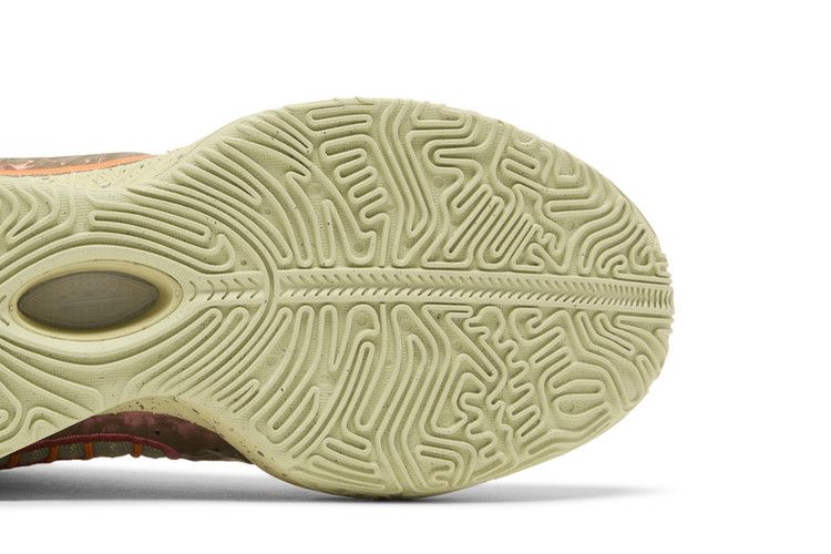 Nike LeBron 21 'Queen Conch'