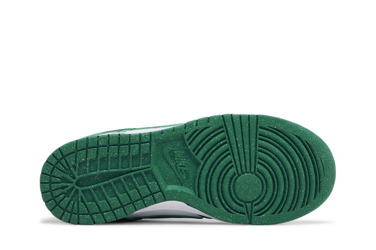 Nike Dunk Low Next Nature 'Bicoastal'