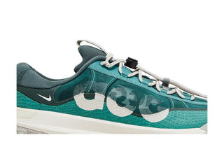 Nike ACG Mountain Fly Low 2 'Bicoastal'