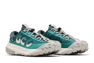 Nike ACG Mountain Fly Low 2 'Bicoastal'