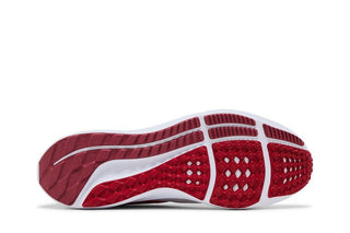 Nike Air Zoom Pegasus 39 'Platinum Tint Light Crimson'