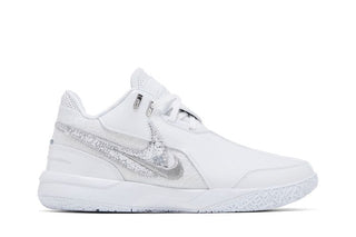 Nike Zoom LeBron NXXT Gen AMPD 'White Metallic Silver'