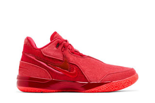 Nike Zoom LeBron NXXT Gen AMPD 'James Gang'
