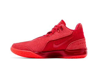 Nike Zoom LeBron NXXT Gen AMPD 'James Gang'