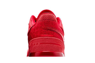 Nike Zoom LeBron NXXT Gen AMPD 'James Gang'