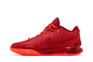 Nike LeBron 21 'James Gang'