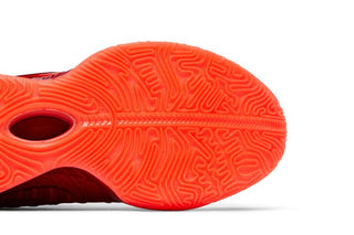 Nike LeBron 21 'James Gang'