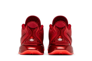 Nike LeBron 21 'James Gang'