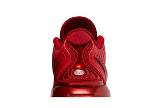 Nike LeBron 21 'James Gang'