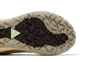 Nike ACG Mountain Fly 2 Low 'Sail Earth'