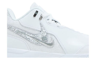 Nike Zoom LeBron NXXT Gen AMPD EP 'White Metallic Silver'