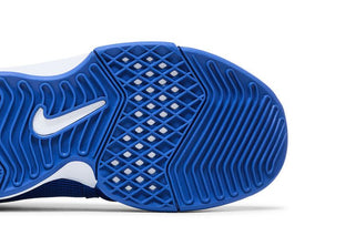 Nike LeBron Witness 8 TB 'Game Royal'