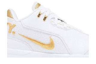 Nike Zoom LeBron NXXT Gen AMPD 'Equity'