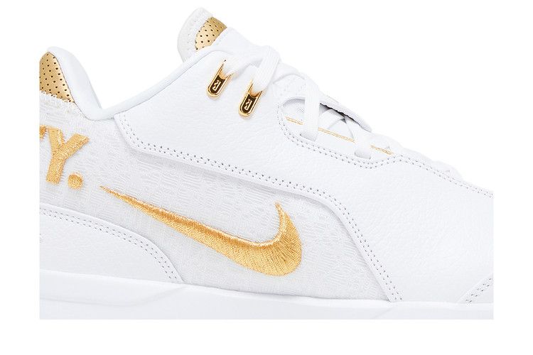 Nike Zoom LeBron NXXT Gen AMPD 'Equity'