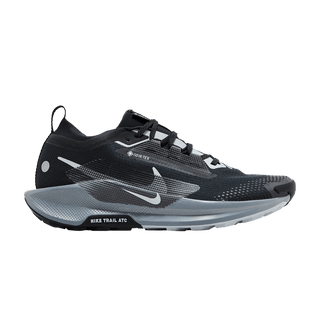 Nike Pegasus Trail 5 GORE-TEX 'Black Wolf Grey'