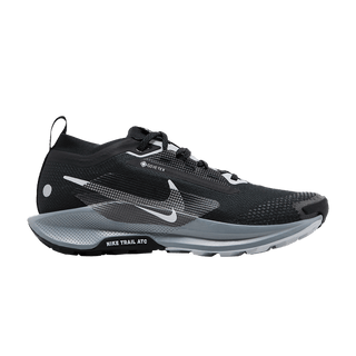 Nike Pegasus Trail 5 GORE-TEX 'Black Wolf Grey'