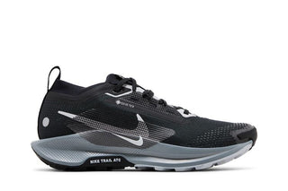 Nike Pegasus Trail 5 GORE-TEX 'Black Wolf Grey'