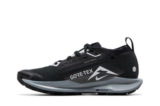 Nike Pegasus Trail 5 GORE-TEX 'Black Wolf Grey'