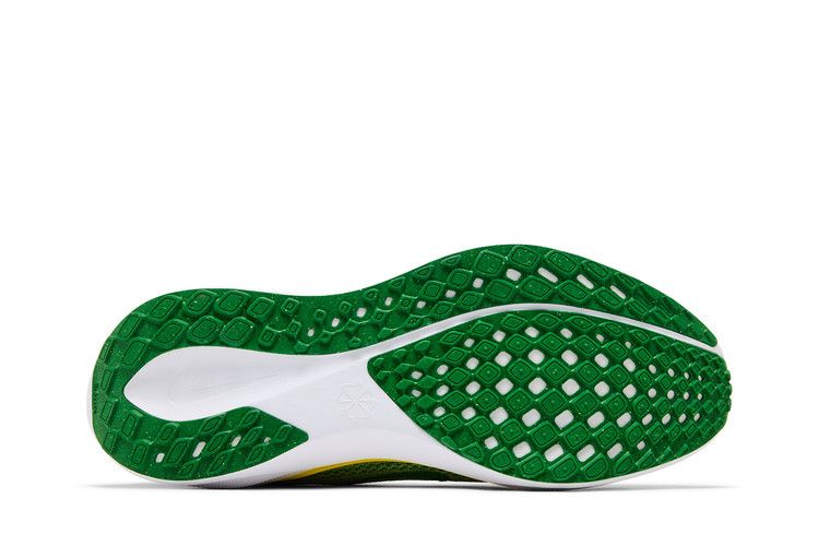 Nike Air Zoom Pegasus 41 'Oregon 2024'