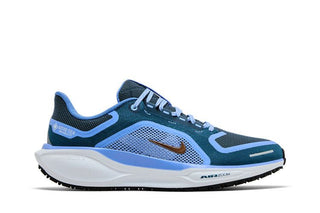 Nike Air Zoom Pegasus 41 GORE-TEX 'Cobalt Bliss'