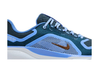 Nike Air Zoom Pegasus 41 GORE-TEX 'Cobalt Bliss'