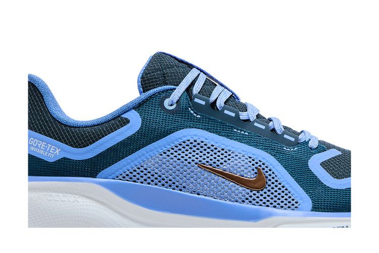 Nike Air Zoom Pegasus 41 GORE-TEX 'Cobalt Bliss'