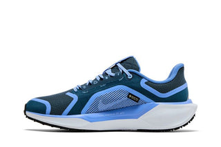Nike Air Zoom Pegasus 41 GORE-TEX 'Cobalt Bliss'