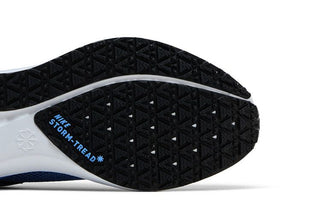 Nike Air Zoom Pegasus 41 GORE-TEX 'Cobalt Bliss'