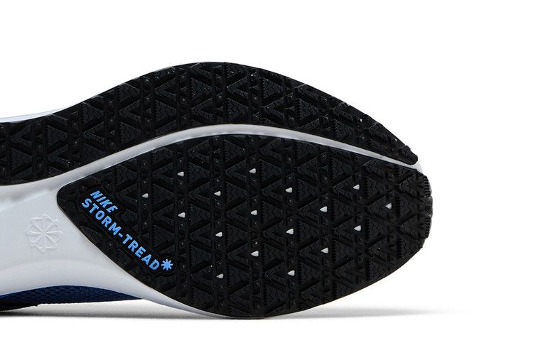Nike Air Zoom Pegasus 41 GORE-TEX 'Cobalt Bliss'