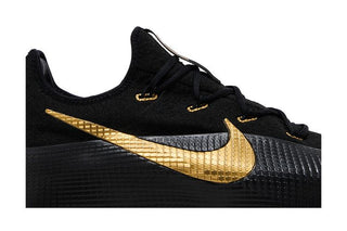 Nike LeBron TR 1 'Black Metallic Gold'