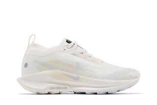 Nike Pegasus Trail 5 GORE-TEX 'Sail Photon Dust'